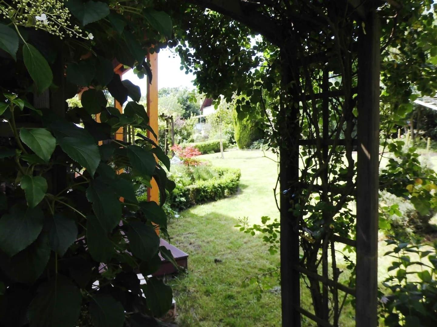 Farbenfrohe Ferienwohnung Detmold Zewnętrze zdjęcie
