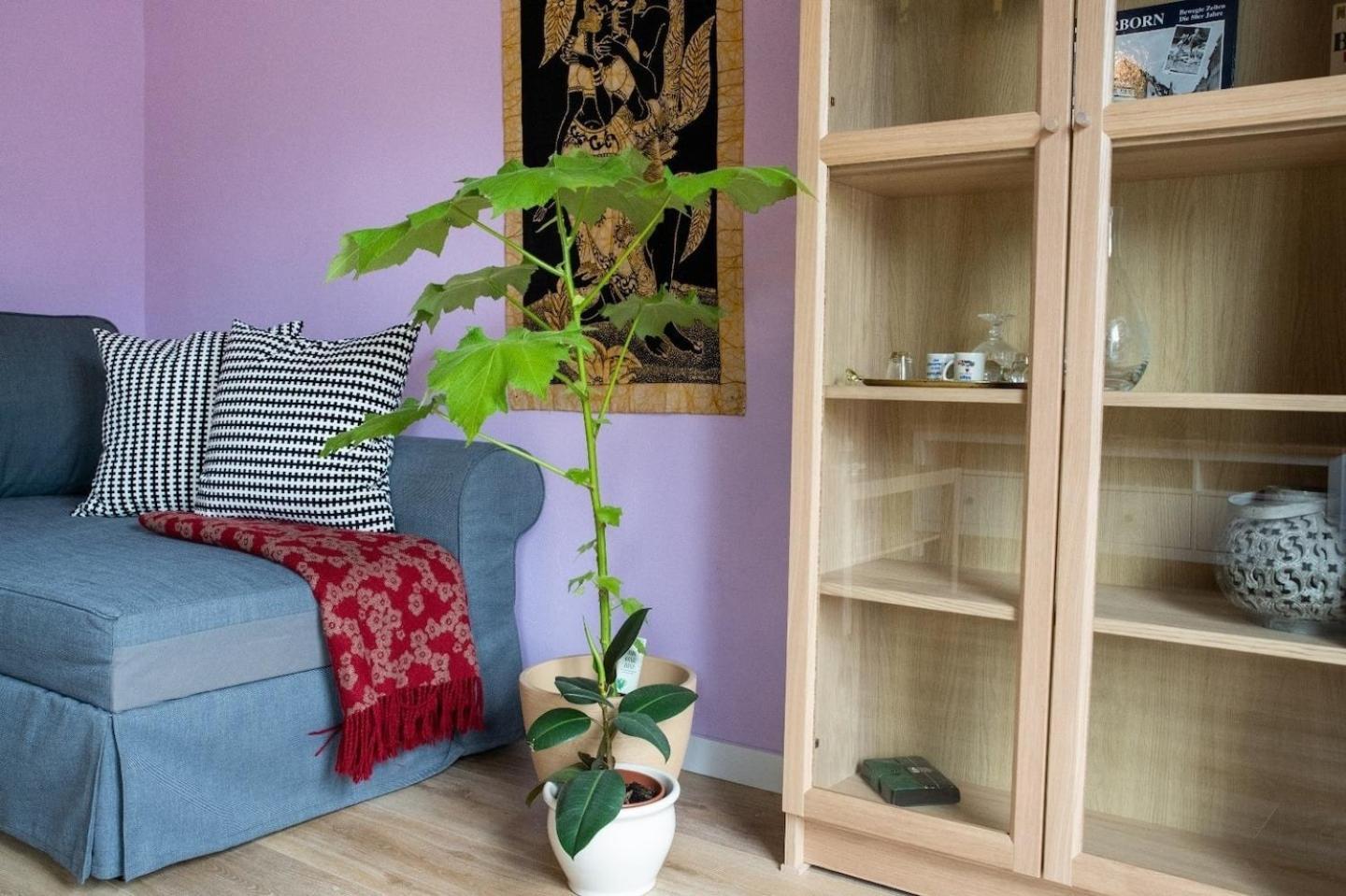 Farbenfrohe Ferienwohnung Detmold Zewnętrze zdjęcie
